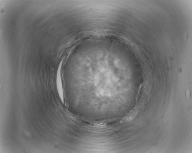 X0000058130720200510212045