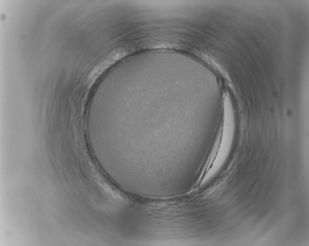 X0000058130721200510212045