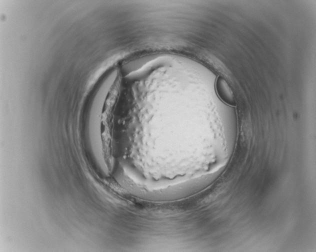 X0000058130722200510212045