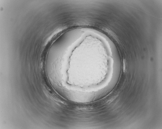 X0000058130723200510212045