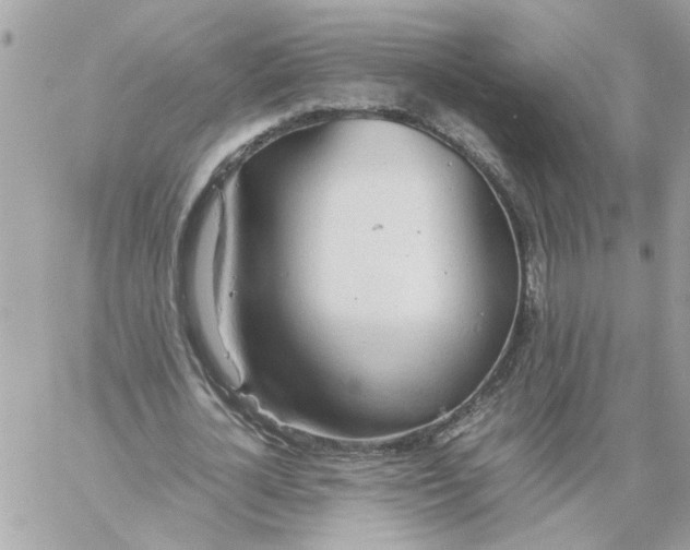 X0000058130724200510212045