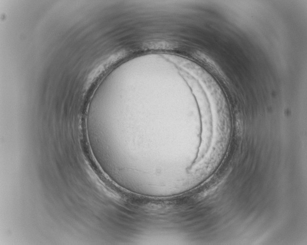 X0000058130725200510212045