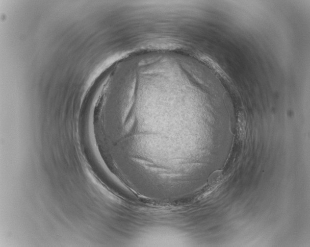 X0000058130726200510212045