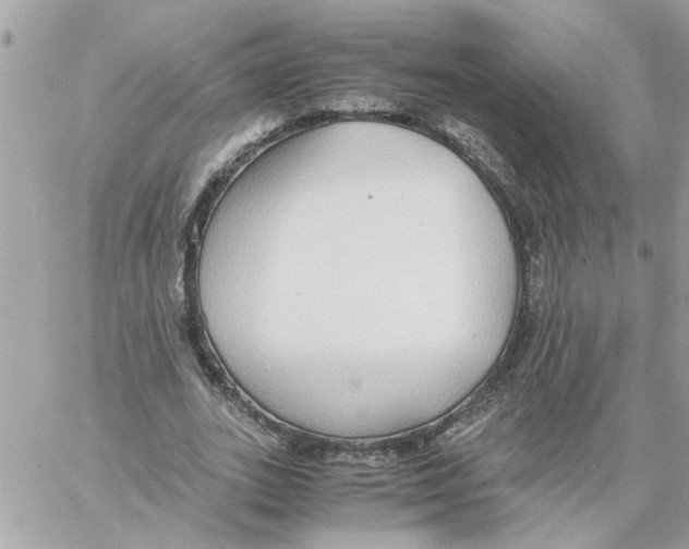 X0000058130727200510212045