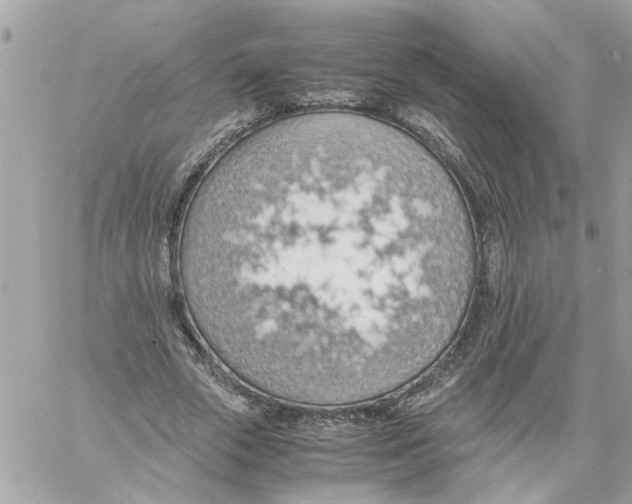 X0000058130729200510212045