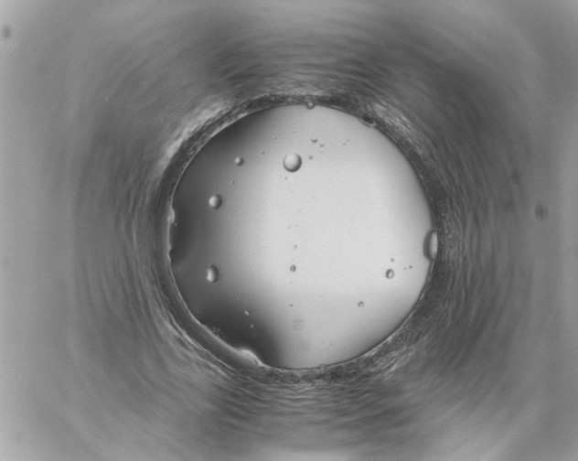 X0000058130731200510212045