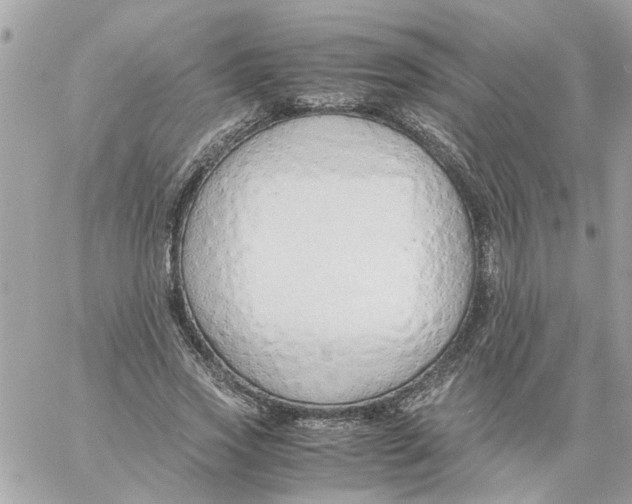 X0000058130733200510212045