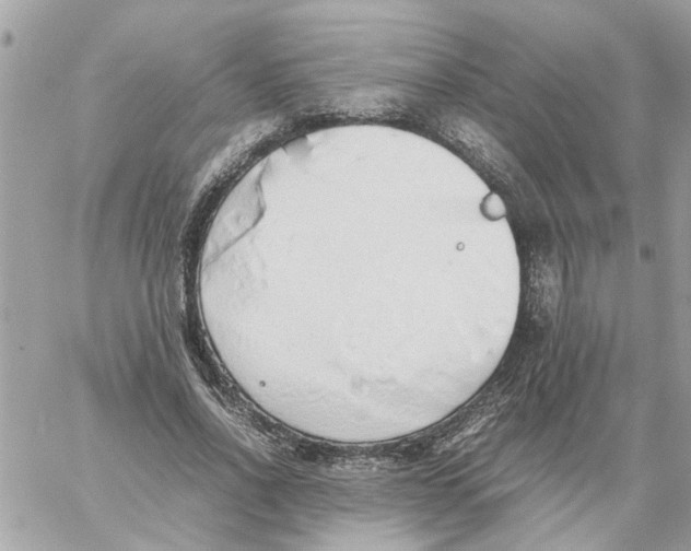 X0000058130734200510212045