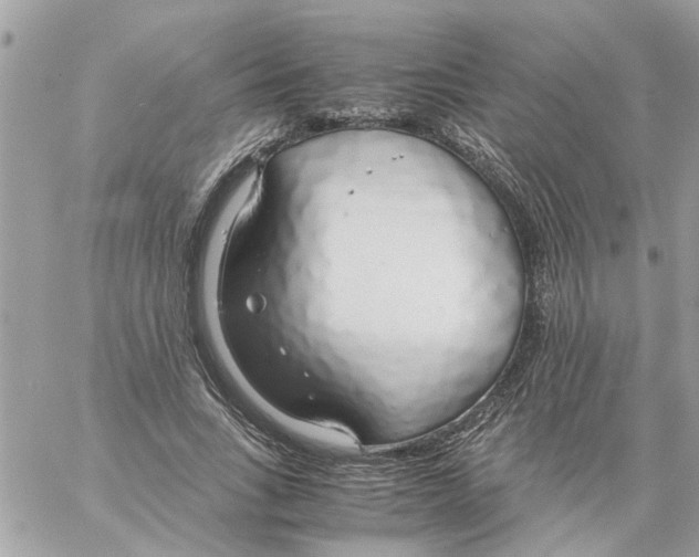 X0000058130735200510212045