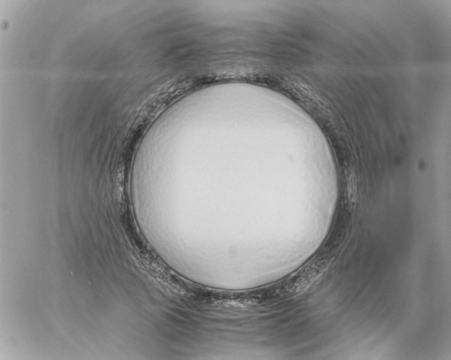 X0000058130737200510212045