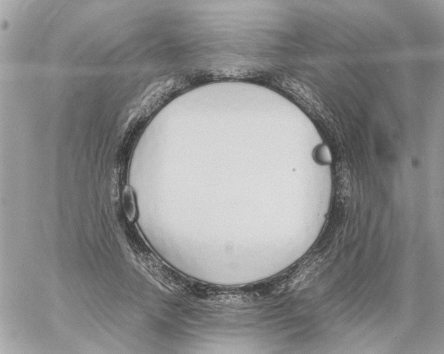 X0000058130738200510212045