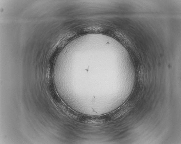 X0000058130739200510212045