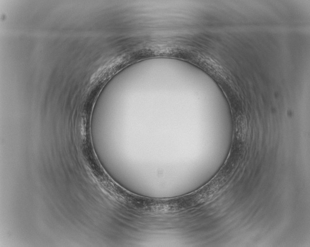 X0000058130740200510212045