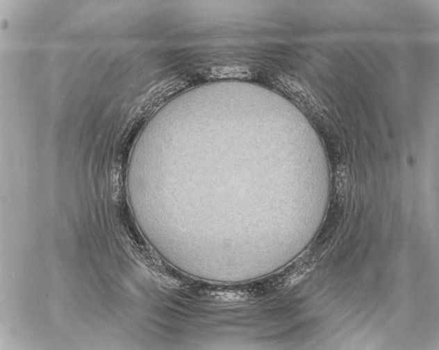 X0000058130741200510212045