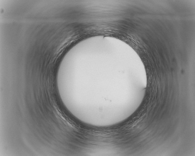 X0000058130744200510212045