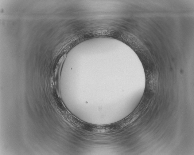 X0000058130746200510212045