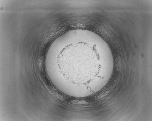 X0000058130747200510212045