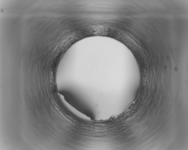 X0000058130748200510212045