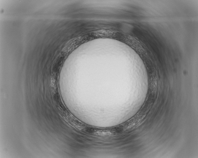 X0000058130749200510212045