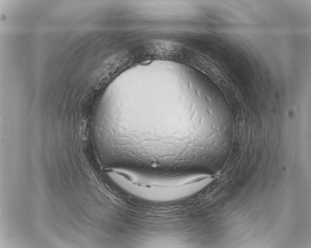 X0000058130750200510212045