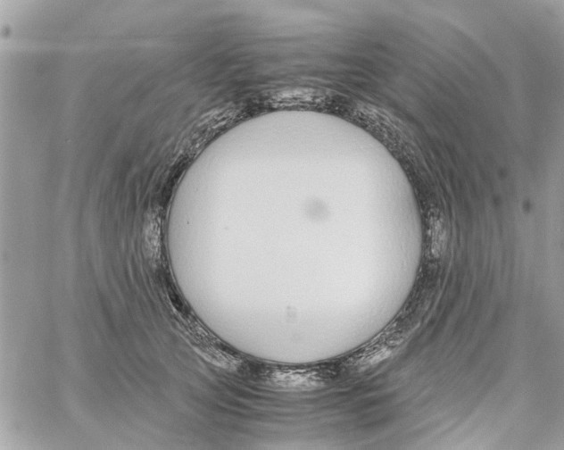 X0000058130753200510212045