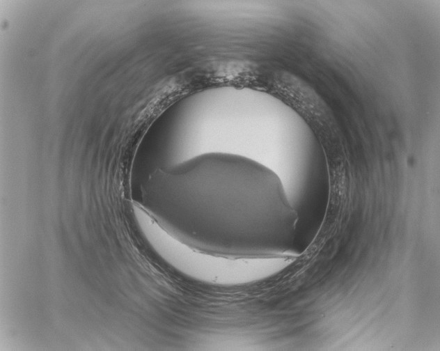 X0000058130754200510212045