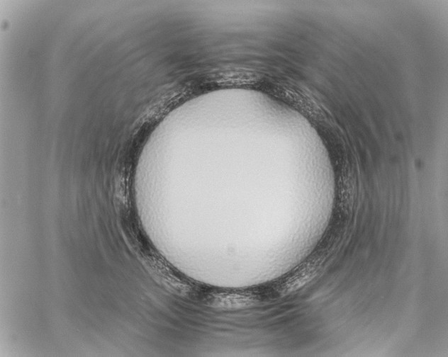 X0000058130755200510212045