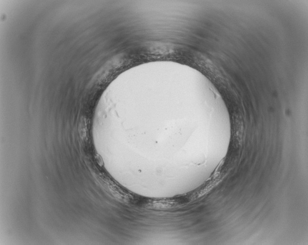 X0000058130758200510212045