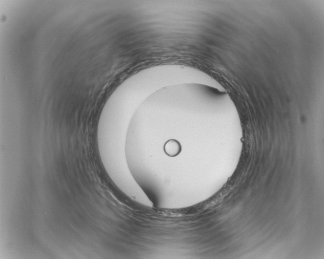 X0000058130760200510212045