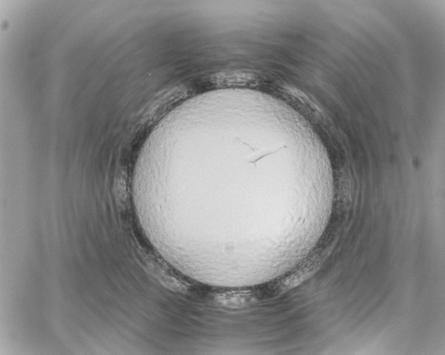 X0000058130761200510212045