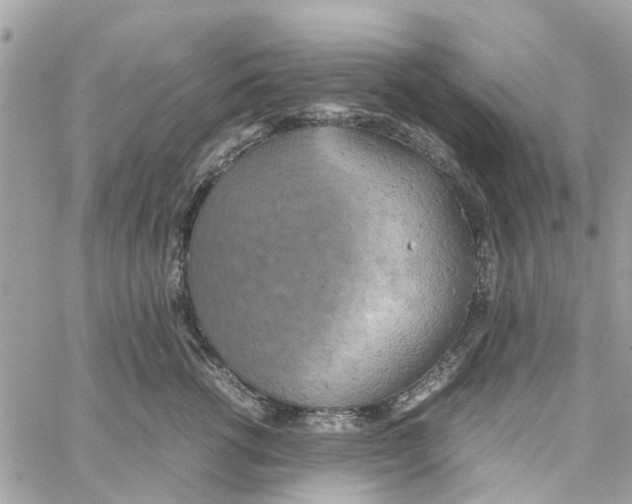 X0000058130762200510212045