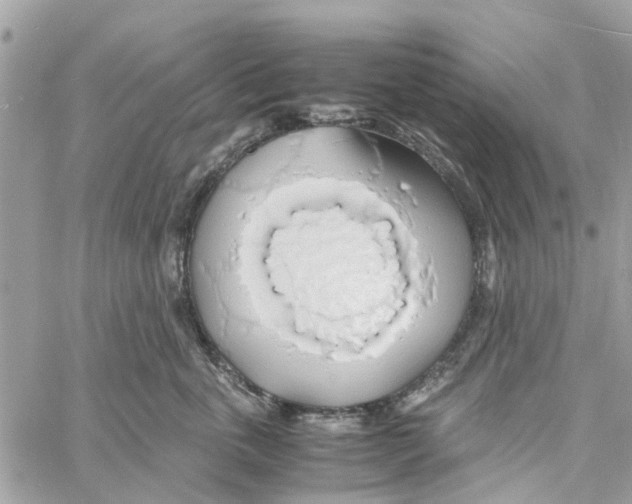 X0000058130763200510212045