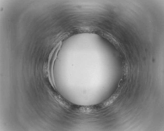 X0000058130764200510212045