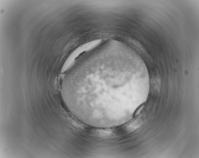 X0000058130765200510212045