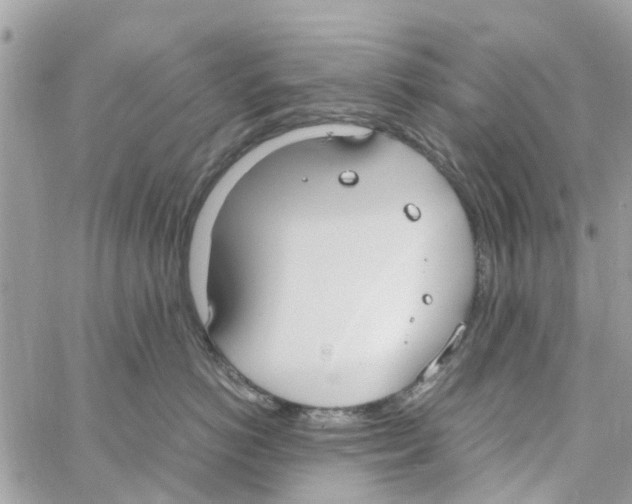 X0000058130766200510212045