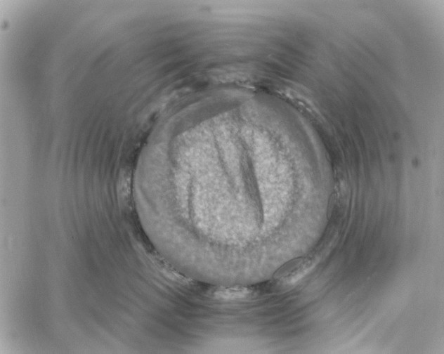 X0000058130767200510212045