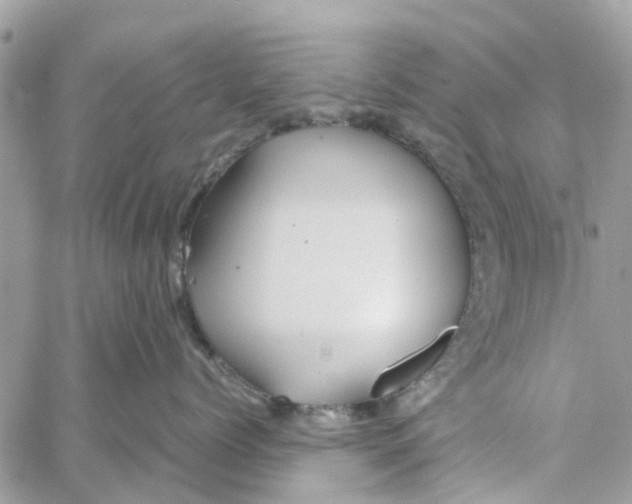 X0000058130768200510212045