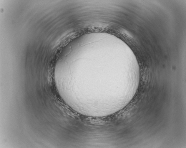 X0000058130774200510212045