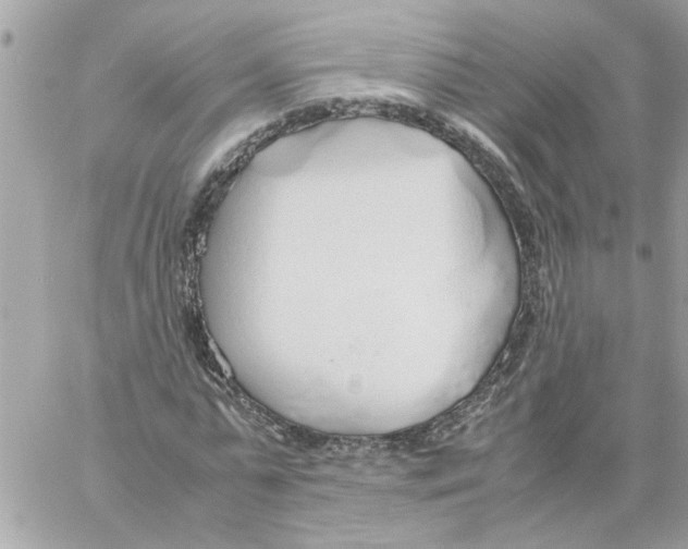 X0000058130775200510212045