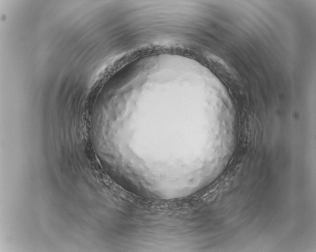 X0000058130776200510212045