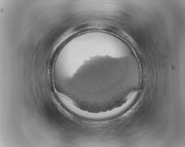 X0000058130779200510212044