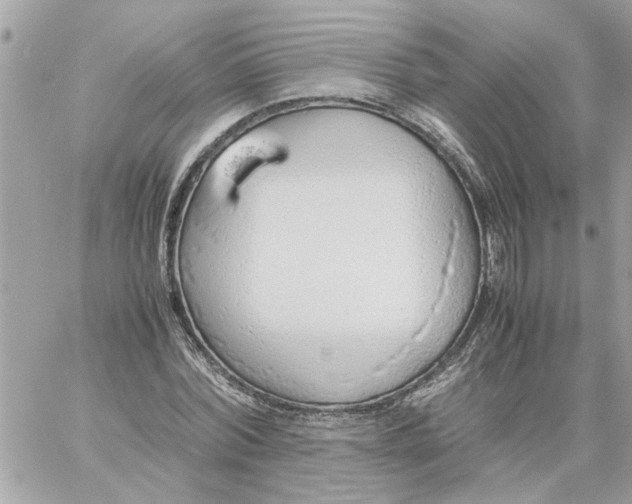 X0000058130780200510212044