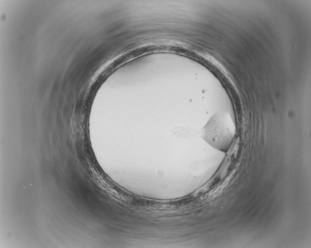 X0000058130783200510212044