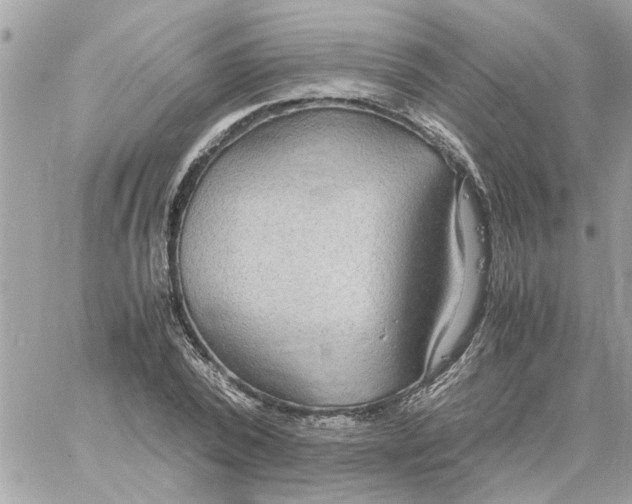 X0000058130784200510212044