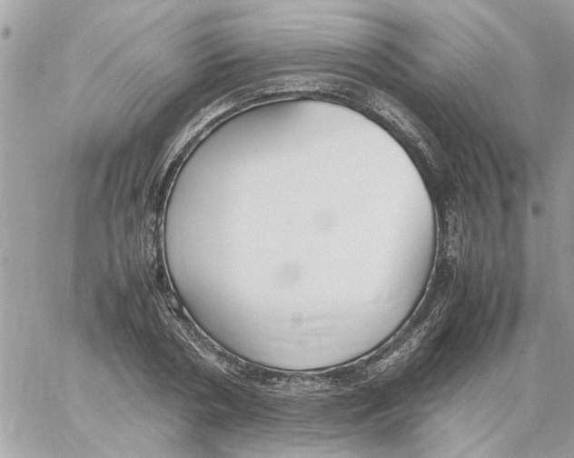 X0000058130786200510212044