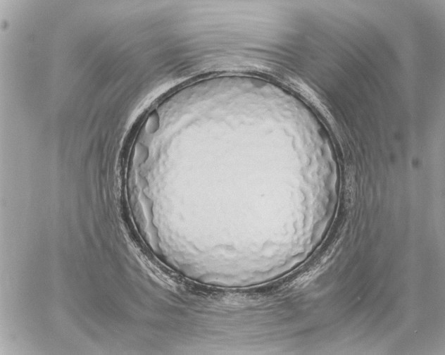 X0000058130787200510212044