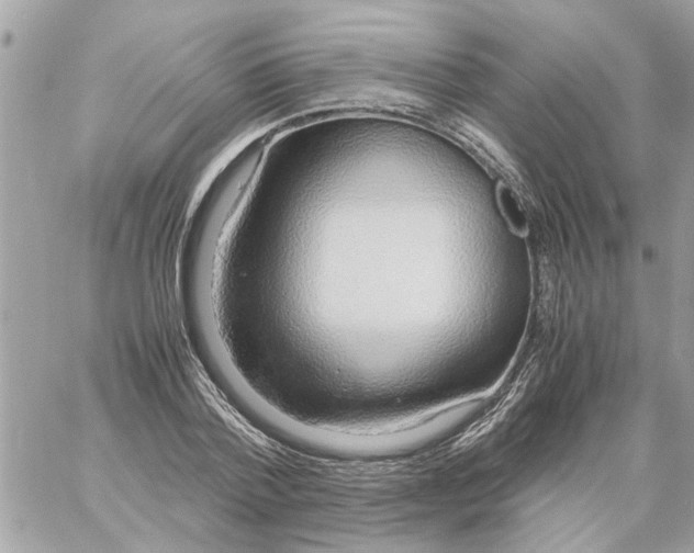 X0000058130788200510212044