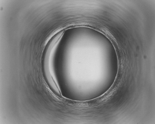 X0000058130789200510212044