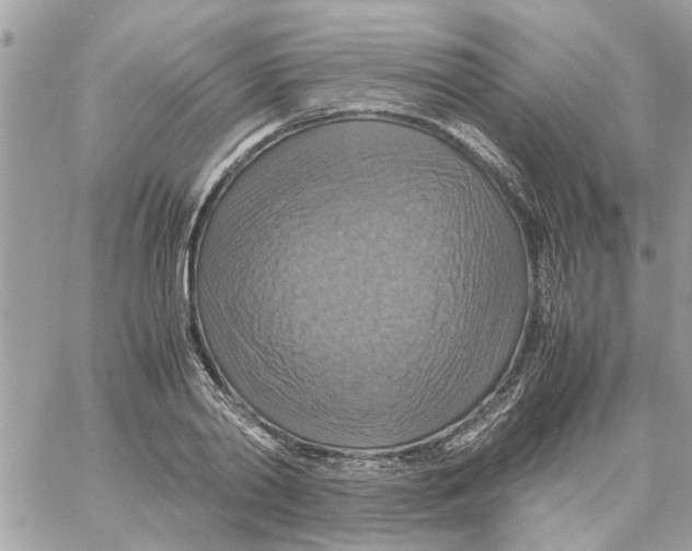 X0000058130790200510212044