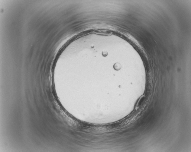 X0000058130791200510212044